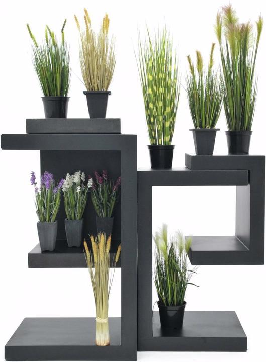 Produktbild Europalms Weizen Frühsommer (60 cm)