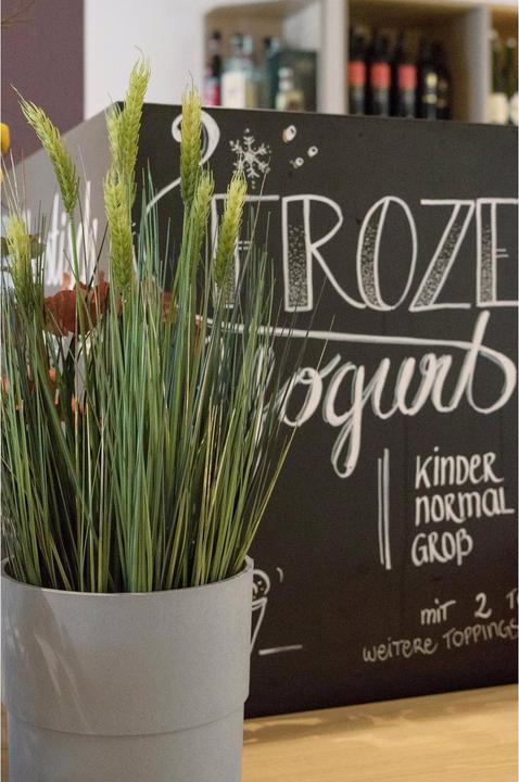 Produktbild Europalms Weizen Frühsommer (60 cm)
