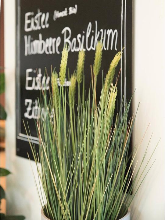 Produktbild Europalms Weizen Frühsommer (60 cm)