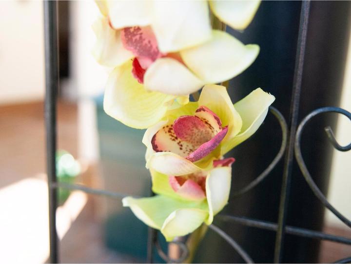 Immagine prodotto Europalms Ramo di Cymbidium (90 cm)