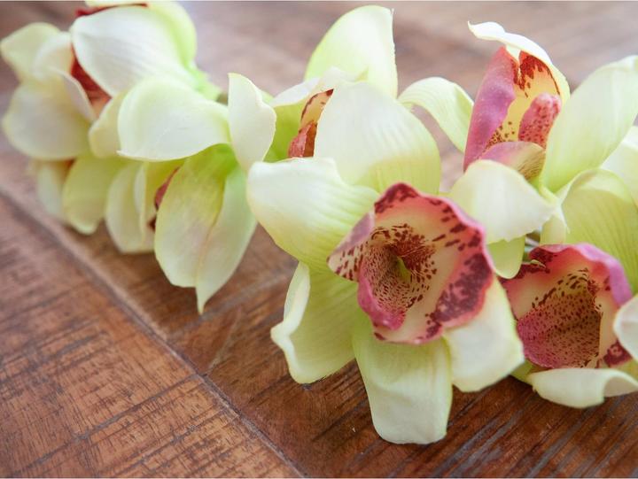 Immagine prodotto Europalms Ramo di Cymbidium (90 cm)