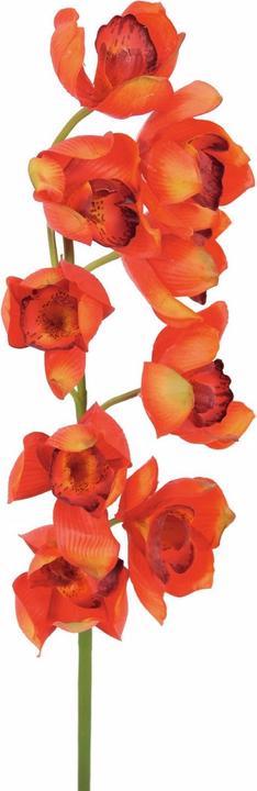 Immagine prodotto Europalms Ramo di Cymbidium (90 cm)