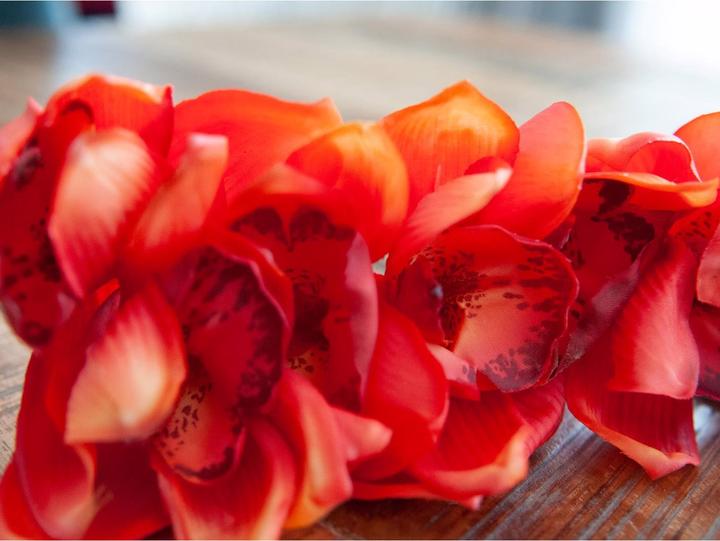 Immagine prodotto Europalms Ramo di Cymbidium (90 cm)