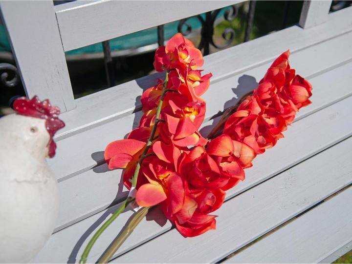 Immagine prodotto Europalms Ramo di Cymbidium (90 cm)