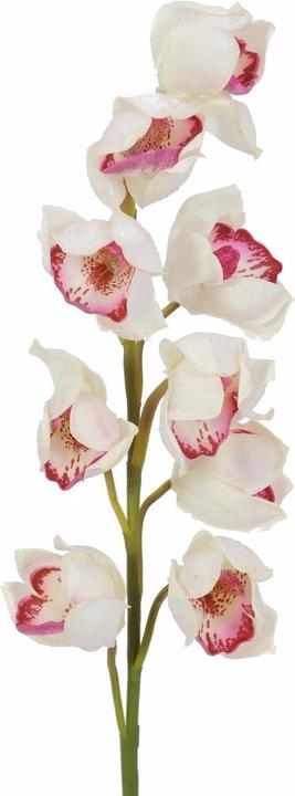 Immagine prodotto Europalms Ramo di Cymbidium (90 cm)