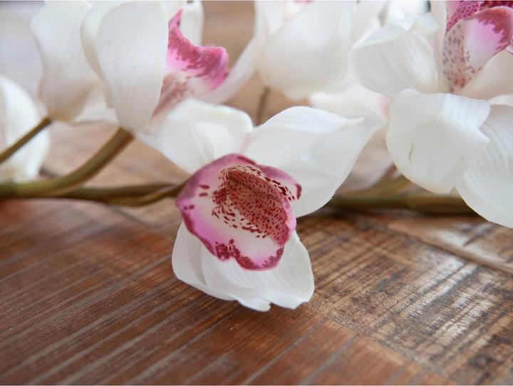 Immagine prodotto Europalms Ramo di Cymbidium (90 cm)