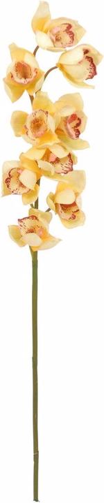 Image du produit Europalms Branche de cymbidium artificielle, jaune, 90cm (90 cm)