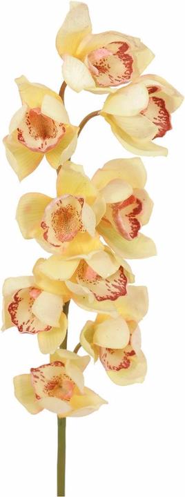 Image du produit Europalms Branche de cymbidium artificielle, jaune, 90cm (90 cm)