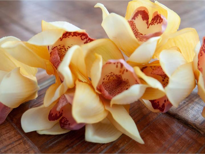 Image du produit Europalms Branche de cymbidium artificielle, jaune, 90cm (90 cm)