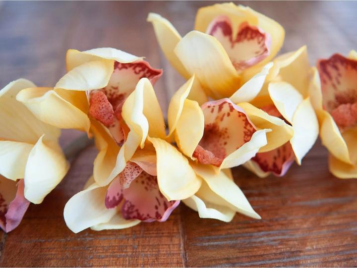 Image du produit Europalms Branche de cymbidium artificielle, jaune, 90cm (90 cm)
