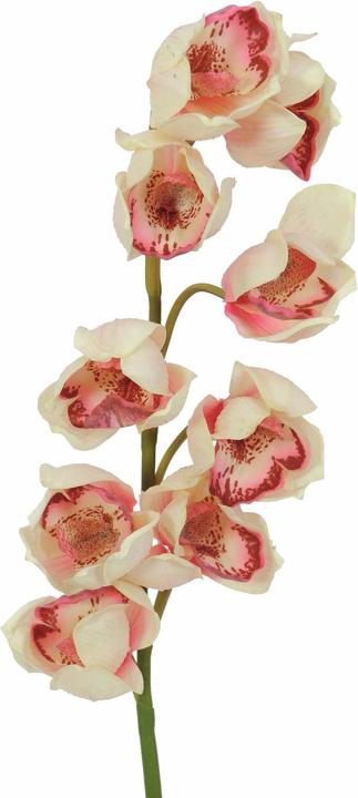 Image du produit Europalms Branche de cymbidium (90 cm)