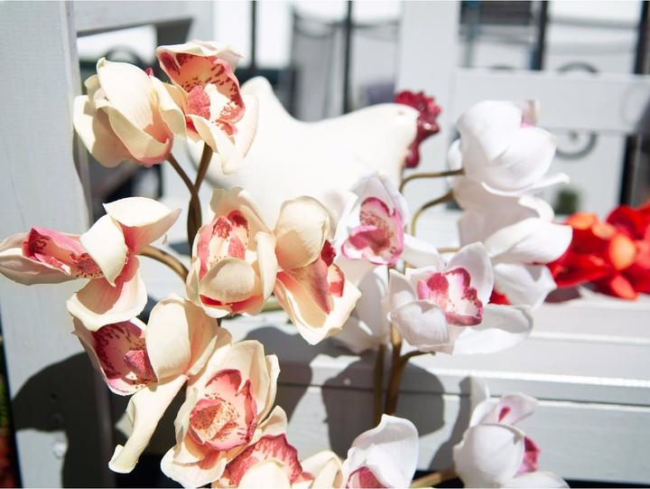 Image du produit Europalms Branche de cymbidium (90 cm)