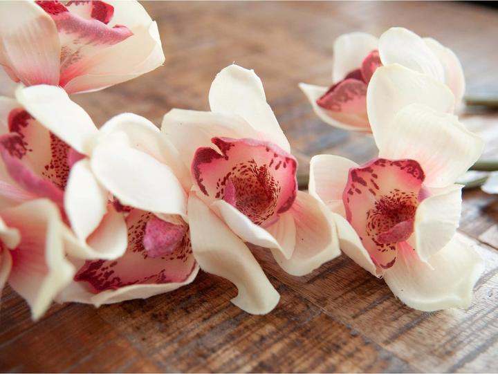 Image du produit Europalms Branche de cymbidium (90 cm)