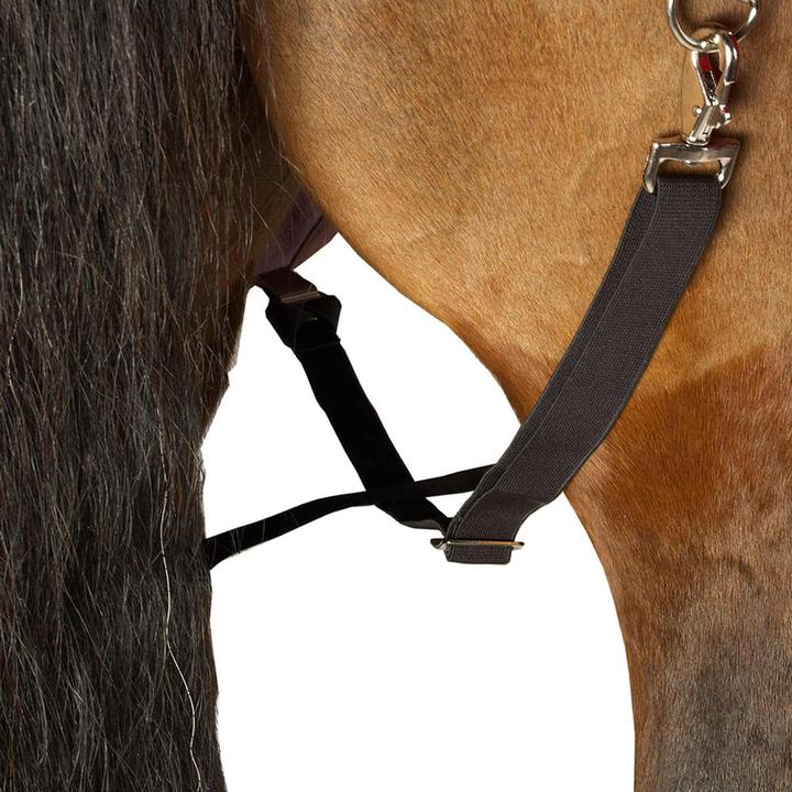 Image du produit Fouganza Allweather Light (155 cm)