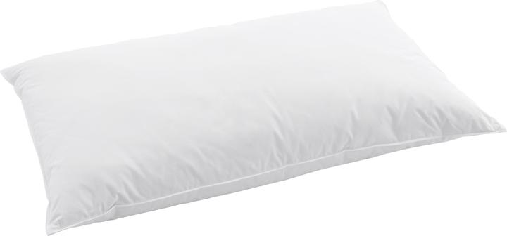 Immagine prodotto Swiss Dream by billerbeck CLC 90 Cuscino Clima Soft (65 x 100 cm)