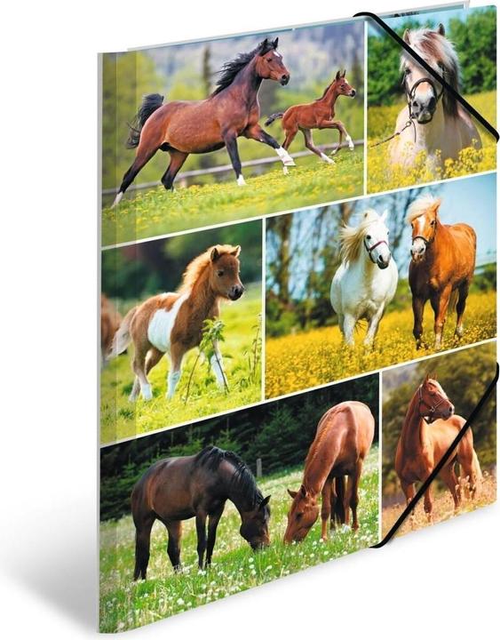 Image du produit HERMA Porte-documents A4 Motif (A4, 1 x)