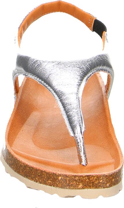 Actual product image Verbenas REAGAN Plata (41)