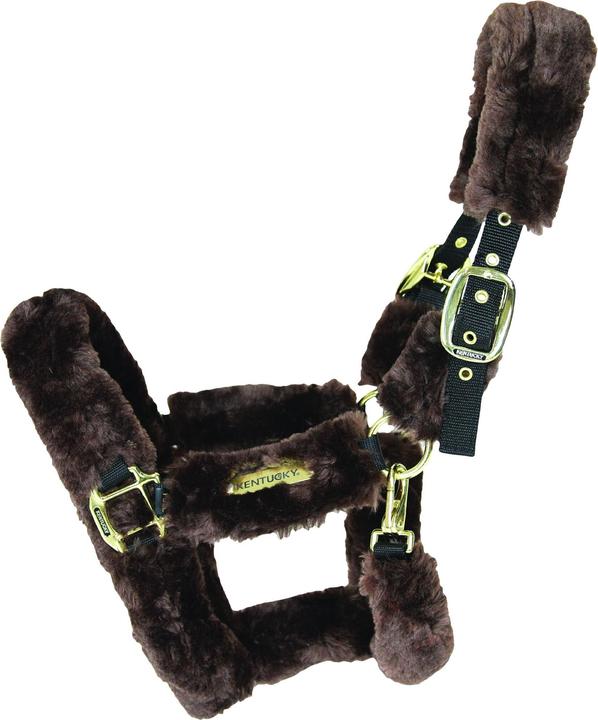 Image du produit Kentucky Horsewear Licol en peau d'agneau