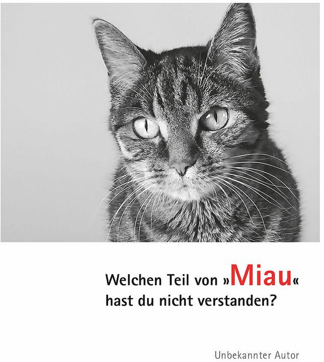 Produktbild Postkarten Katzen Miau (10 Stk.)