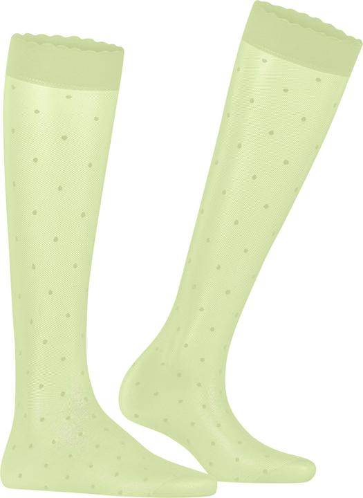 Actual product image Falke Dot 15 DEN Damen (15 DEN, 39 - 42)