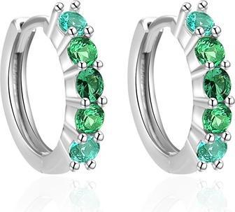 Agato - Shiny silver hoop earrings AGT-E131KGR