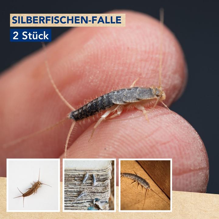 Actual product image Edialux Green Choice - Silverfish trap, 2 pieces