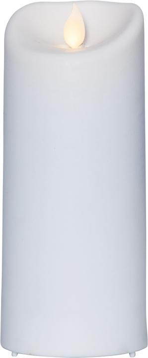 Actual product image Star Trading M-Twinkle (1 x)