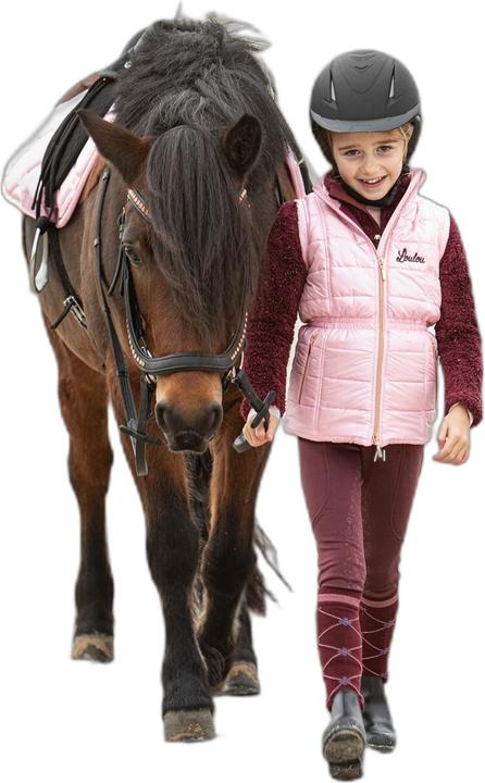 Harry's Horse Diva Stella