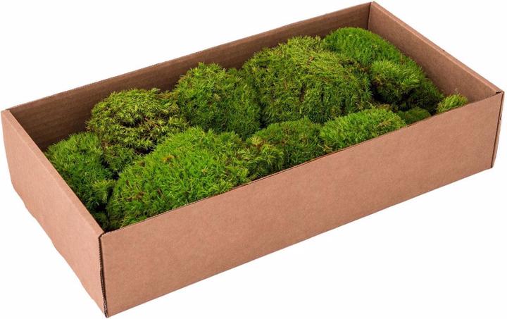 Image du produit Europalms Taches de mousse vert pomme préparées 10x