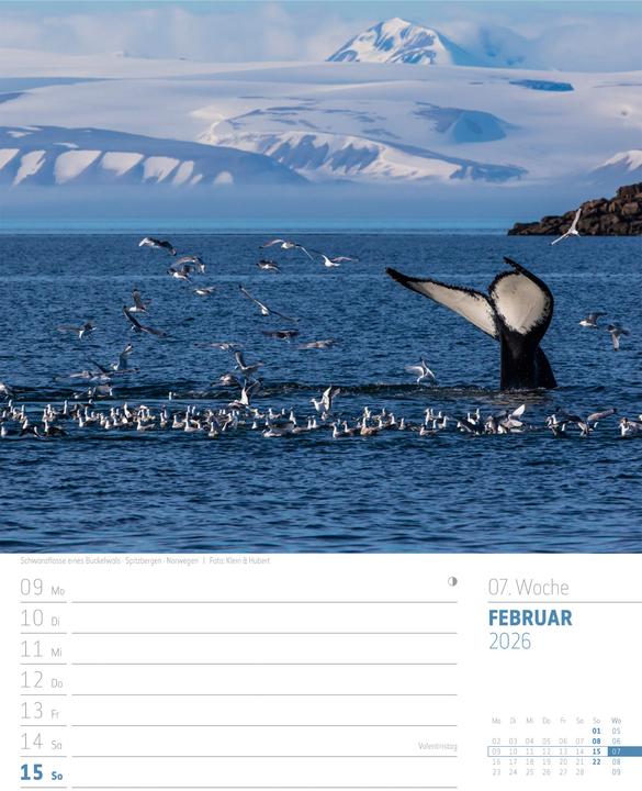 Produktbild Planet Erde - Landschaften der Welt - Wochenplaner Kalender 2026 (25 x 33 cm, Harter Einband, Deutsch)