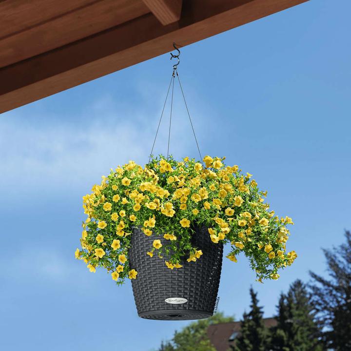 Actual product image Lechuza Nido Cottage (27 cm)