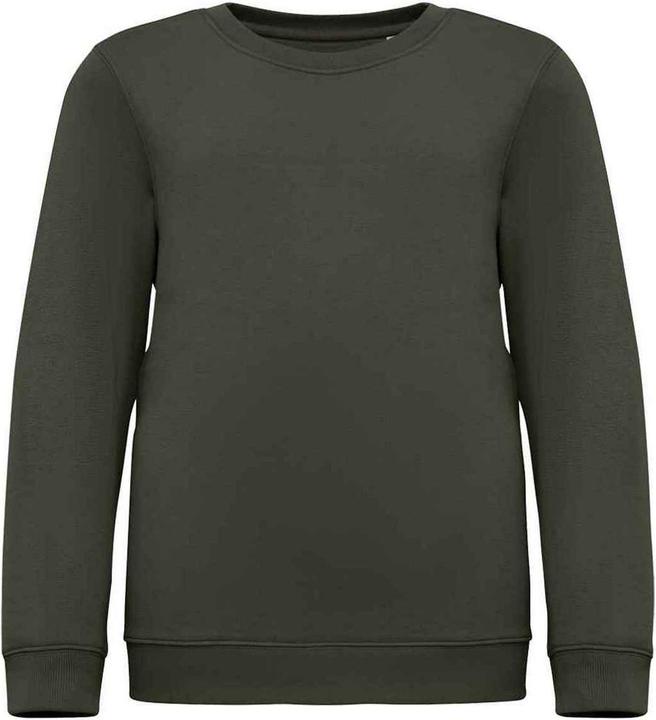Native Spirit Sweatshirt