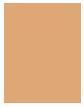 Actual product image Clarins SKIN ILLUSION VELVET FOUNDATION 108.5W 30ml (108.5W Camel)