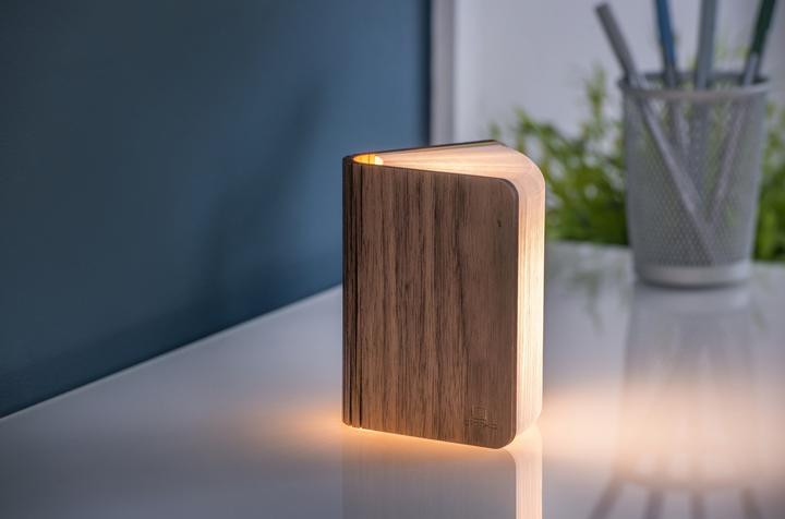 Actual product image Gingko smart book