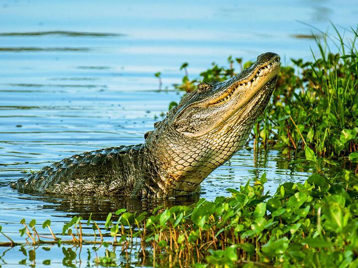 Image du produit Smartbox 4 nuits dans un hôtel 3* à Miami avec visite des Everglades et des Keys (2 pers.)