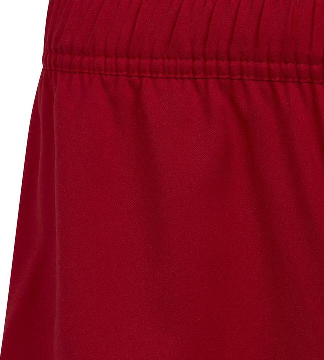 Actual product image adidas Tiro 23 Competition Match training shorts kids (140)