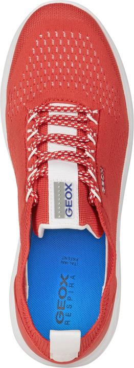 Image du produit Geox Spherica A - 9596 (36)