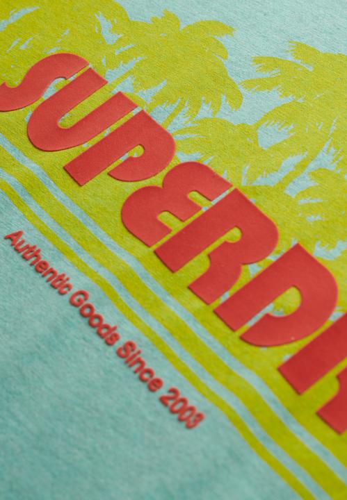 Actual product image Superdry Outdoor Stripe Relaxed Tee (14)