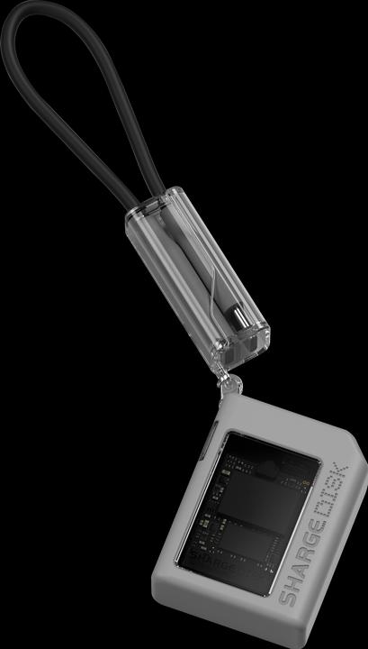 Actual product image Sharge Disk (M.2 2230)