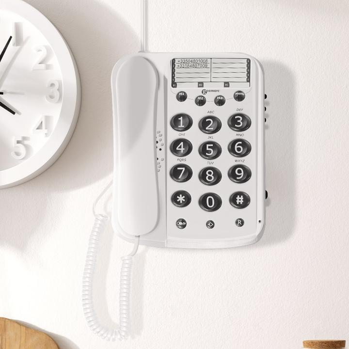 Actual product image Geemarc DALLAS 10 Corded telephone with large buttons - 15dB