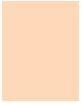 Actual product image MAC Cosmetics Studio Fix 24-Hour Smooth Wear Concealer (No. NC44)