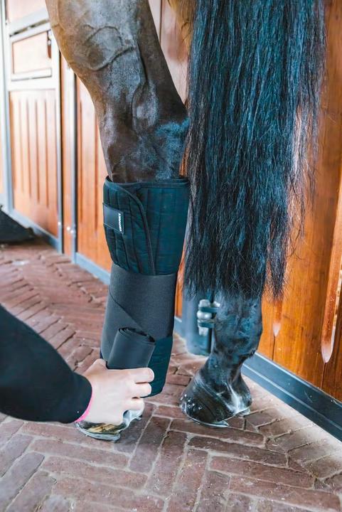 Produktbild Kentucky Horsewear Ruhebänder für Pferde