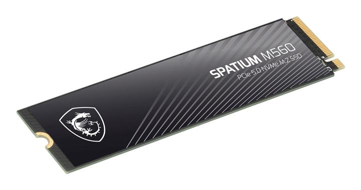 Actual product image MSI Spatium M560 (2000 GB, M.2 2280)