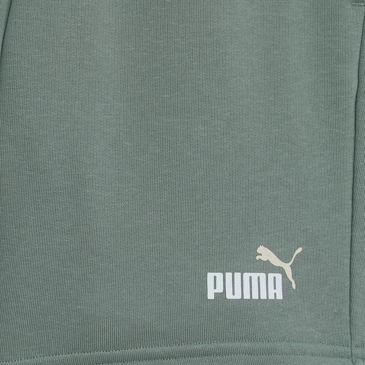 Actual product image Puma ESS 2 COLOR No. 1 Logo Shorts TR B (164)