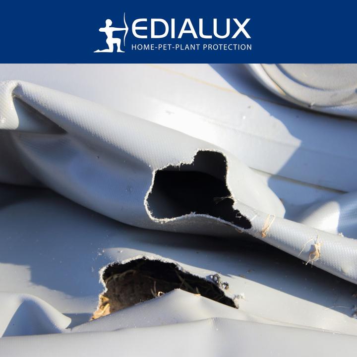 Productafbeelding Edialux Quicksnap muizenval, promoverpakking 4+2 stuks
