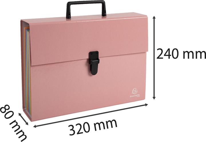 Actual product image Exacompta Fächermappen (A4, 1 x)