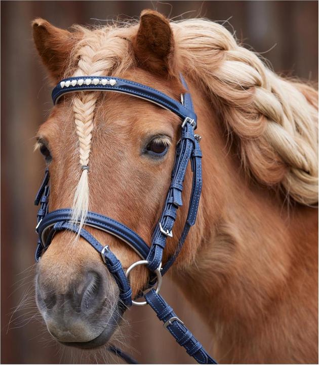 Immagine prodotto Waldhausen Briglia per pony Lucky Heart