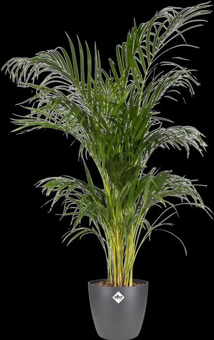 Produktbild Elho Brussels (29.50 cm)