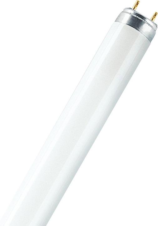Actual product image Osram Natura (G13, 36 W, 1800 lm, 1 x, G)