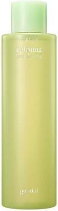 Actual product image Goodal Houttuynia Cordata Calming Moisture Toner (300 ml)